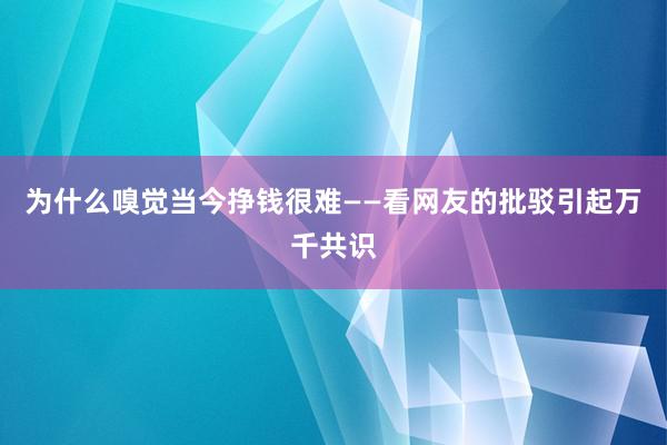 为什么嗅觉当今挣钱很难——看网友的批驳引起万千共识