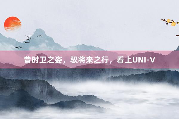 昔时卫之姿，驭将来之行，看上UNI-V