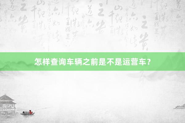 怎样查询车辆之前是不是运营车？