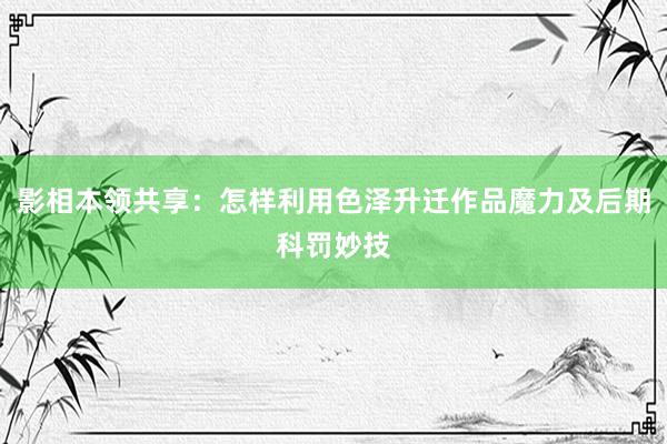 影相本领共享：怎样利用色泽升迁作品魔力及后期科罚妙技