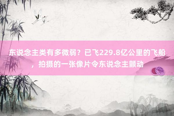 东说念主类有多微弱？已飞229.8亿公里的飞船，拍摄的一张像片令东说念主颤动