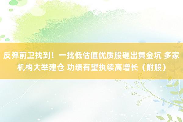 反弹前卫找到！一批低估值优质股砸出黄金坑 多家机构大举建仓 功绩有望执续高增长（附股）