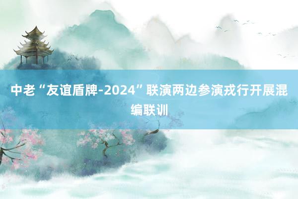 中老“友谊盾牌-2024”联演两边参演戎行开展混编联训