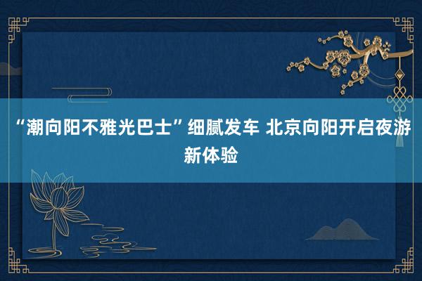 “潮向阳不雅光巴士”细腻发车 北京向阳开启夜游新体验