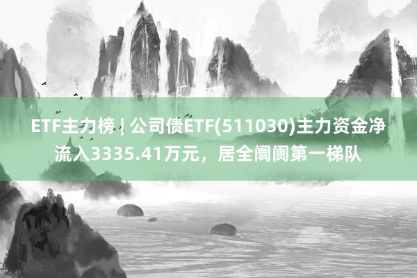 ETF主力榜 | 公司债ETF(511030)主力资金净流入3335.41万元，居全阛阓第一梯队