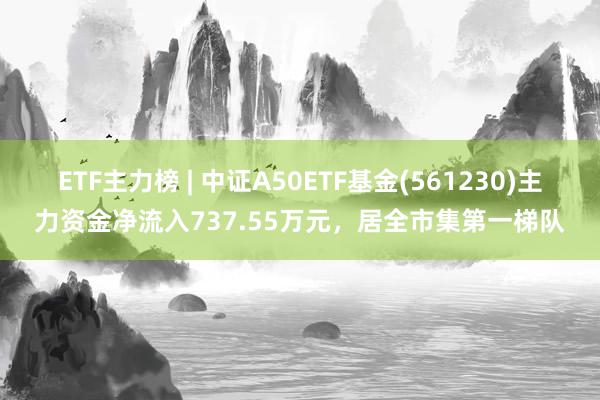 ETF主力榜 | 中证A50ETF基金(561230)主力资金净流入737.55万元，居全市集第一梯队