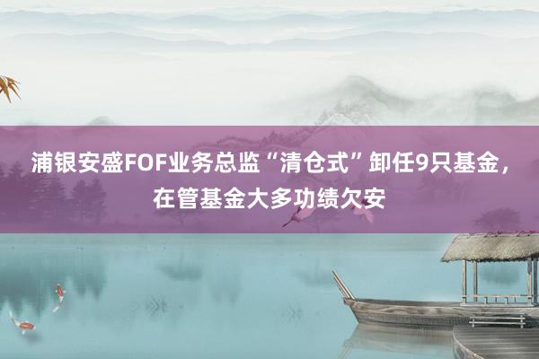 浦银安盛FOF业务总监“清仓式”卸任9只基金，在管基金大多功绩欠安