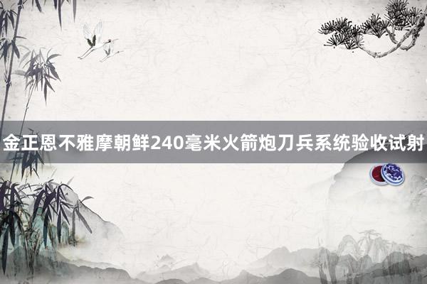 金正恩不雅摩朝鲜240毫米火箭炮刀兵系统验收试射