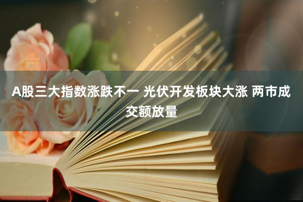 A股三大指数涨跌不一 光伏开发板块大涨 两市成交额放量