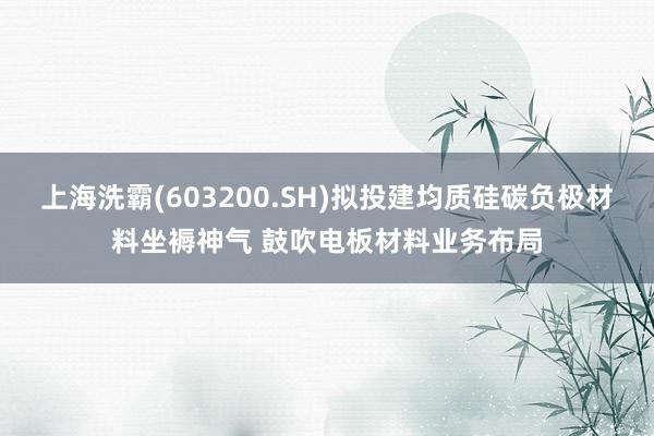 上海洗霸(603200.SH)拟投建均质硅碳负极材料坐褥神气 鼓吹电板材料业务布局