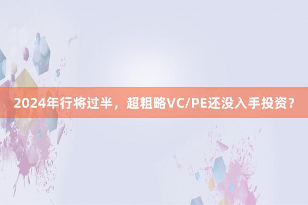 2024年行将过半，超粗略VC/PE还没入手投资？