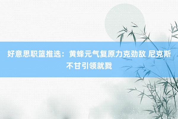 好意思职篮推选：黄蜂元气复原力克劲敌 尼克斯不甘引领就戮