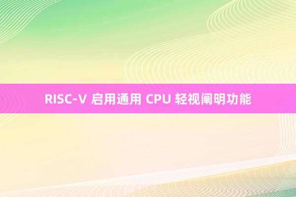 RISC-V 启用通用 CPU 轻视阐明功能