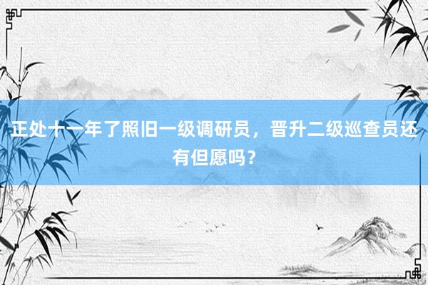 正处十一年了照旧一级调研员，晋升二级巡查员还有但愿吗？