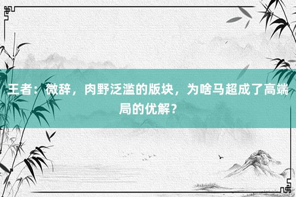 王者：微辞，肉野泛滥的版块，为啥马超成了高端局的优解？