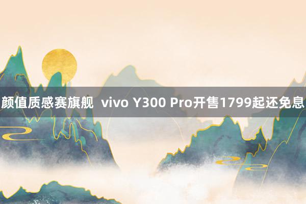 颜值质感赛旗舰  vivo Y300 Pro开售1799起还免息