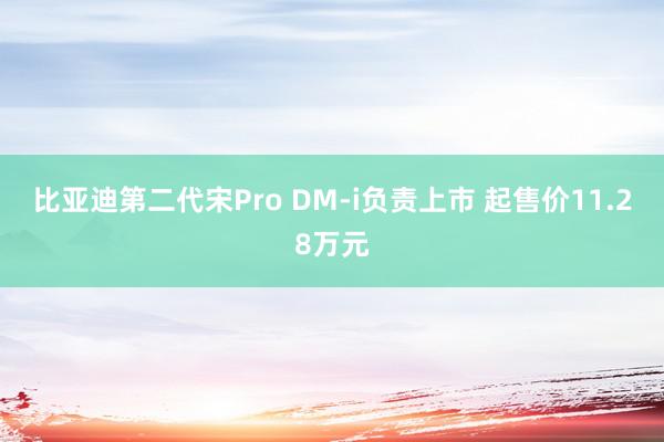 比亚迪第二代宋Pro DM-i负责上市 起售价11.28万元