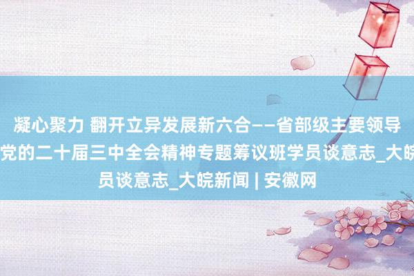 凝心聚力 翻开立异发展新六合——省部级主要领导干部学习贯彻党的二十届三中全会精神专题筹议班学员谈意志_大皖新闻 | 安徽网